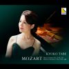 Download track Piano Sonata No. 11 In A Major, K. 331 2. Menuetto