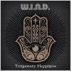 Download track Temporary Happiness