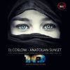 Download track Anatolian Sunset (Erdem Senel Rework)