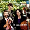 Download track Piano Trio No. 1 In B Major, Op. 8 Allegro Con Brio