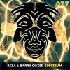 Download track Spectrum (Original Mix)