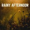 Download track Soft Gentle Sleeping Rain Sounds, Pt. 1