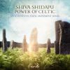 Download track Power Of Celtic (Sesto Sento Vs. Static Movement Remix)