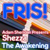 Download track The Awakening