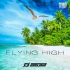 Download track Flying High (Radio Edit)