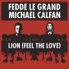 Download track Lion (Feel The Love) (Instrumental Mix)