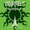 Download track Madagascar (Radio Edit)