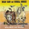 Download track Wild Bulls And Horses