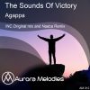 Download track The Sounds Of Victory Naeba Rmx