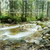 Download track Close By River Flowing Ambience, Pt. 19