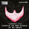 Download track Miracle In'the Middle Of My Heart (Pyt Extended Remix)