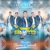 Download track Palomas Mensajeras & Canto A Michoacan