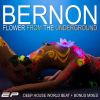 Download track Flower From The Underground (Easy House Mix) [Bonus Track]