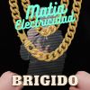 Download track Brigido