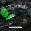 Download track Accents (James Reid Remix)