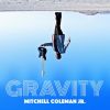 Download track Gravity