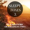 Download track Beach Bonfire Crackling Flames, Pt. 2