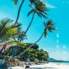 Download track 茉莉花的香