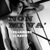 Download track Non Mi Va Salomone Claudio