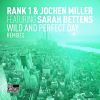 Download track Wild And Perfect Day (Darwin & Backwall Remix)