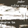 Download track Gagica Ta Ma Suna