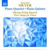 Download track Piano Quintet, Op. 76 - IV. Adagio - Presto - Tempo I