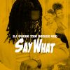 Download track Say What