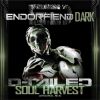 Download track Soul Harvest (Original Mix)