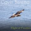 Download track Flight Of Freedom