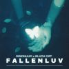 Download track FALLENLUV (Speed Up)