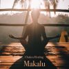 Download track Chakra Healing