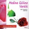 Download track Geceler Sırdaşım