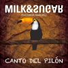 Download track Canto Del Pilon (Simone Vitullo Vocal Remix)