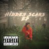 Download track Hidden Scars