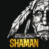 Download track Shaman