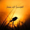Download track New Shades Of Jazz