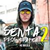 Download track Senta Pros Trafica 2