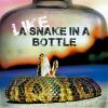 Download track Like A Snake In A Bottle