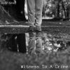 Download track Witness To A Crime