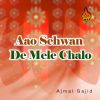 Download track Aao Sehwan De Mele Chalo