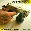 Download track Furious Gang