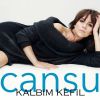 Download track Ne Değişti Ki (Versiyon)