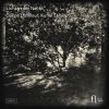 Download track Lieder- No. 3, Laue Sommernacht