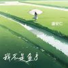 Download track 我不是鱼8 (伴奏)