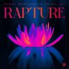 Download track Rapture (Club Mix)