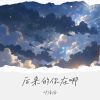 Download track 后来的你在哪 (加速版)