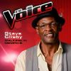 Download track Walking In Memphis (The Voice 2013 Performance)