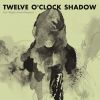 Download track Twelve O'Clock Shadow (Miguel Atwood-Ferguson)