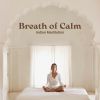 Download track Mindfulness Meditation