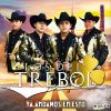 Download track Mi Juventud A Los 40